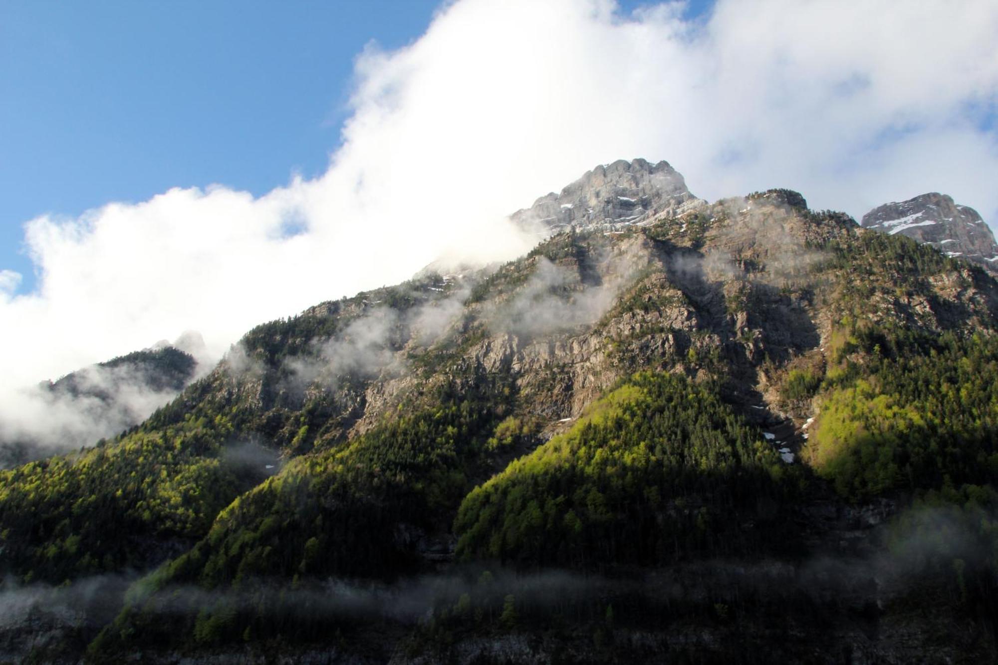 Camping Pineta Hotel Bielsa Kültér fotó